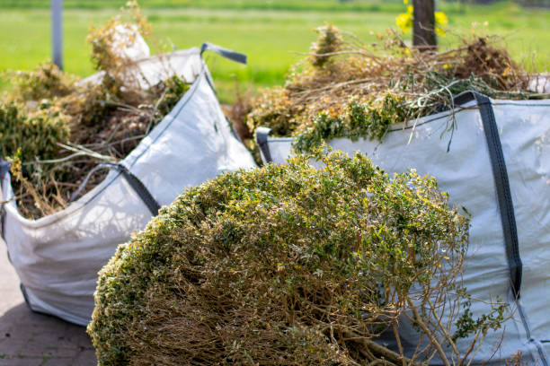 Best Estate Cleanout Services  in Lima, OH